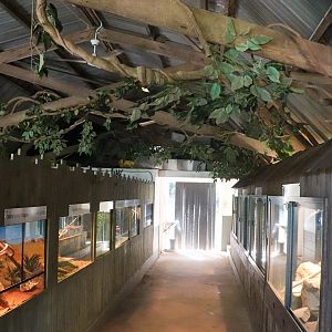 Reptile Barn