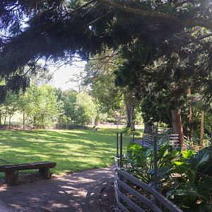 Kangaroo Walk-through Area