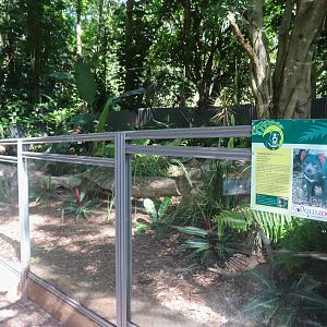 Tasmanian Devil Enclosure