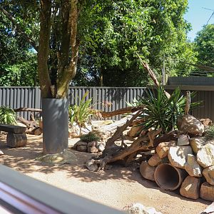 New Meerkat Enclosure