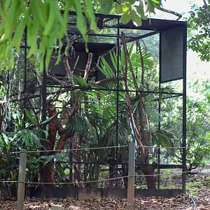 Pygmy Marmoset Enclosure