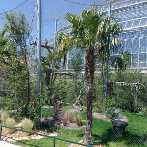 Tropical Dome - Harpy eagles aviary