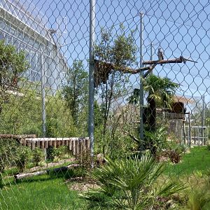 Tropical Dome - Harpy eagles aviary
