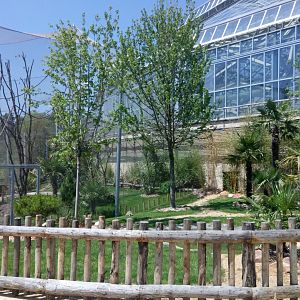 Tropical Dome - radiated tortoises enclosure ahead and Aldabra's giant tortoises/birds/Rodriguez flying foxes outdoor aviary behind