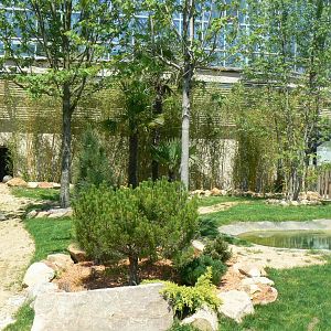 Tropical Dome - radiated tortoises outdoor enclosure