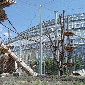 Tropical Dome - Future douc langurs outdoor aviary under construction