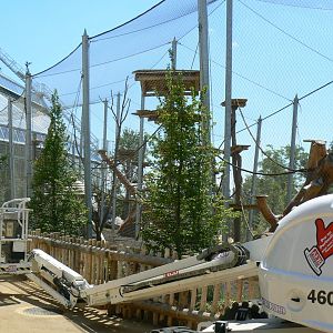 Tropical Dome - Future douc langurs outdoor aviary under construction
