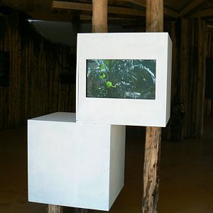 Tropical Dome - Beauval Nature Camp under construction