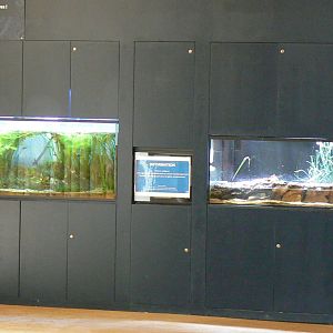 Tropical Dome - Beauval Nature Camp under construction