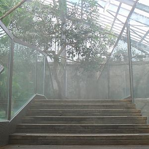 Gorillas greenhouse - passage between stingray/caimans/turtles pool (left) and new dwarf crocodiles enclosure (right)
