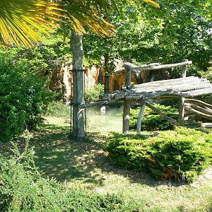 Giant panda second enclosure