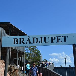 One of the two entries to Brådjupet seal enclosure in Kolmården