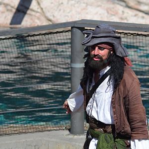 Captain Seasick in Kolmården