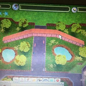 Big Cat Kingdom - Sumatran Tiger Exhibit