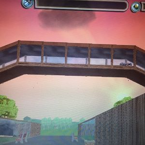 Big Cat Kingdom - Sumatran Tiger Overhead Tunnel