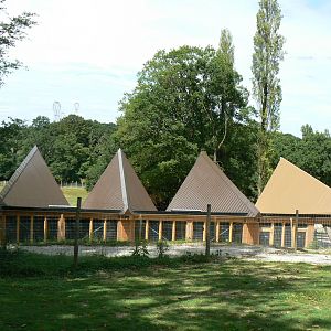 Indian plain - Indian rhinos house