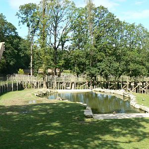 Indian plain - Female indian rhinos pond and house behind