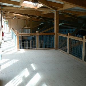 Indian plain - Indian rhinos house - visiting corridor