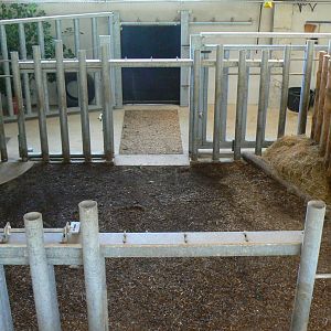 Indian plain - indian rhino house