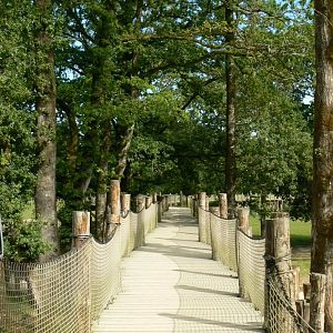 Indian plain - passage between the two rhino enclosures