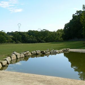 Indian plain - 3 hectares female indian rhinos enclosure