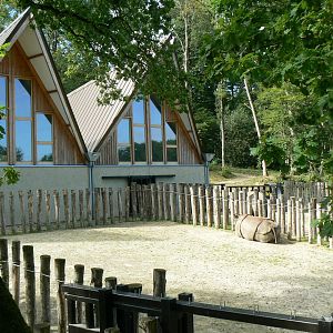 Indian plain - indian rhinos' paddocks