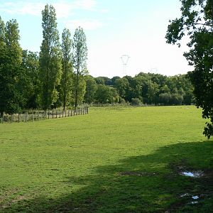 Indian plain - 3 hectares female indian rhinos enclosure
