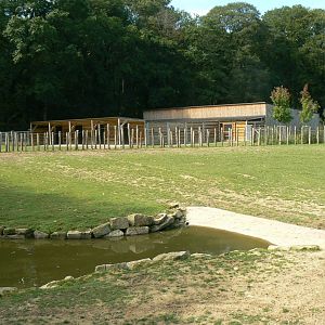 Indian plain - 1 hectare male indian rhino's enclosure and hoofstocks' house behind
