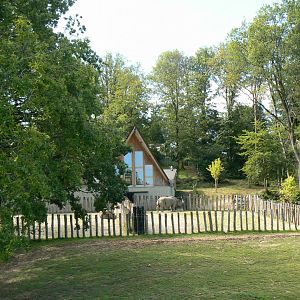 Indian plain - indian rhinos' paddocks and house