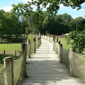 Indian plain - passage between the two indian rhinos' enclosure