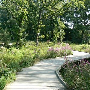 Natural reserve after the indian plain