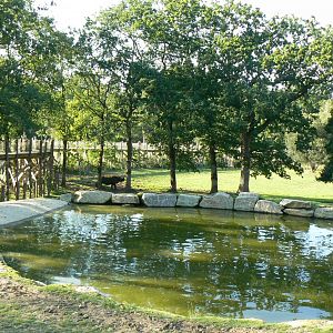 Indian plain - 3 hectares female indian rhinos enclosure