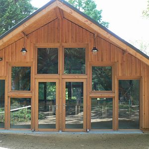 New pygmy hippos' house opened in 2017