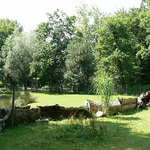 Pygmy hippos' enclosures