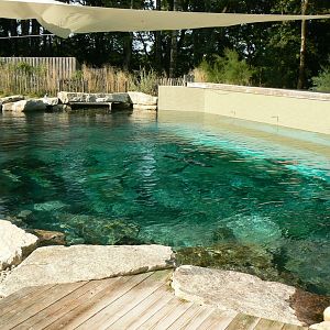 Marine space - second atlantic harbour seals'pool