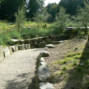 Marine space - second atlantic harbour seals' pool - passage to the underwater viewing