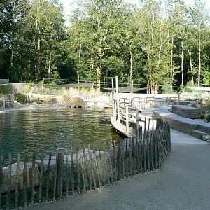 Marine space - First atlantic harbour seals' pool
