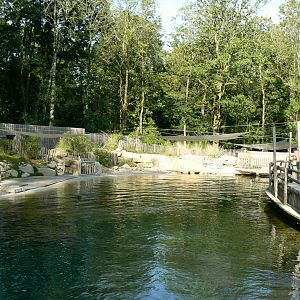 Marine space - First atlantic harbour seals' pool