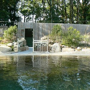 Marine space - atlantic harbour seals' house