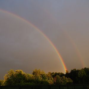 Double rainbow seen from our backyard tonight (2020-06-05)
