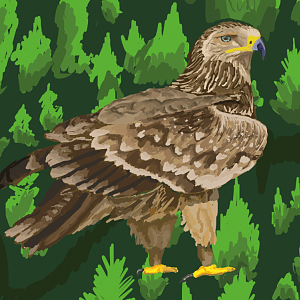 Eastern imperial eagle