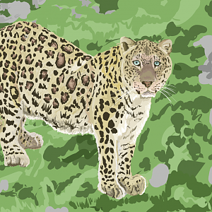 Persian leopard