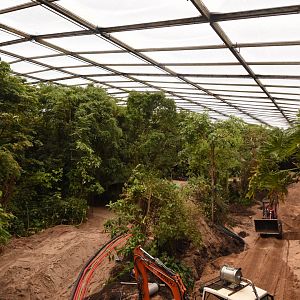 Burgers' Bush - Terrace renovations