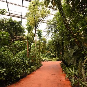 Burgers' Bush - New walking paths