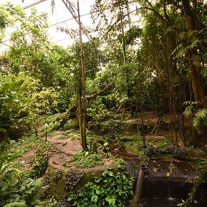 Burgers' Bush - Small-clawed Otter enclosure