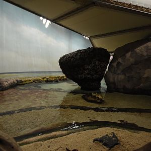 Burgers' Ocean - first view when entering