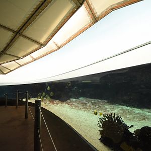 Burgers' Ocean - Lagune shallow part