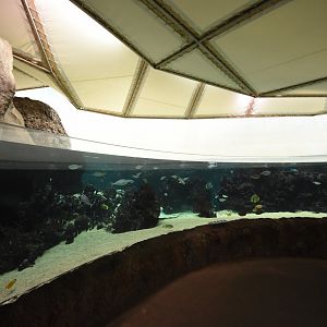 Burgers' Ocean - Lagune deeper part