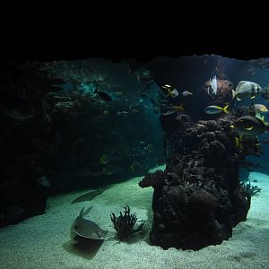 Burgers' Ocean - Lagune deeper part