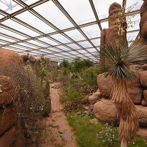 Burgers' Desert - Main view